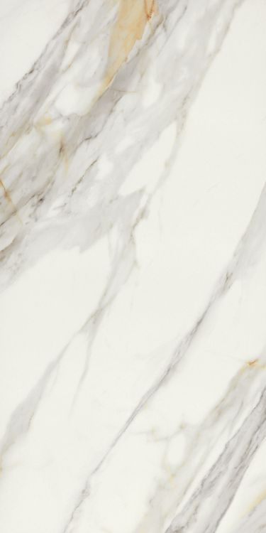 Marmi Macchiavecchia Levigato 24 x 48